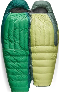 Ascent -9C/15F Regular Dunsovepose