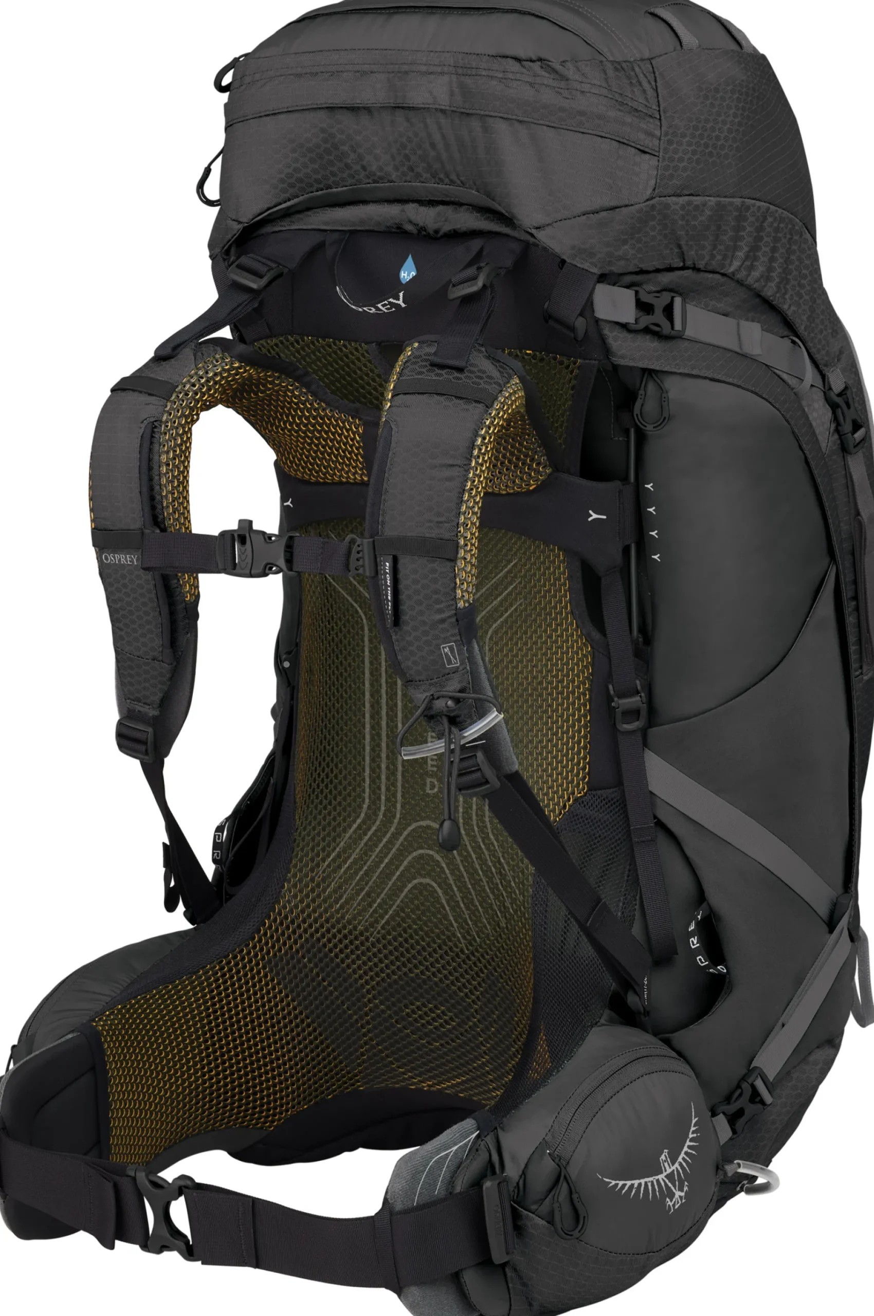 Atmos AG 65 S/M