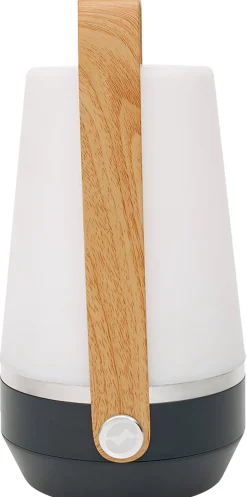 Aurelia L Lampe