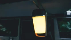 Aurelia L Lampe