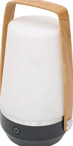 Aurelia L Lampe