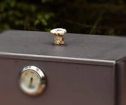 Baking Oven