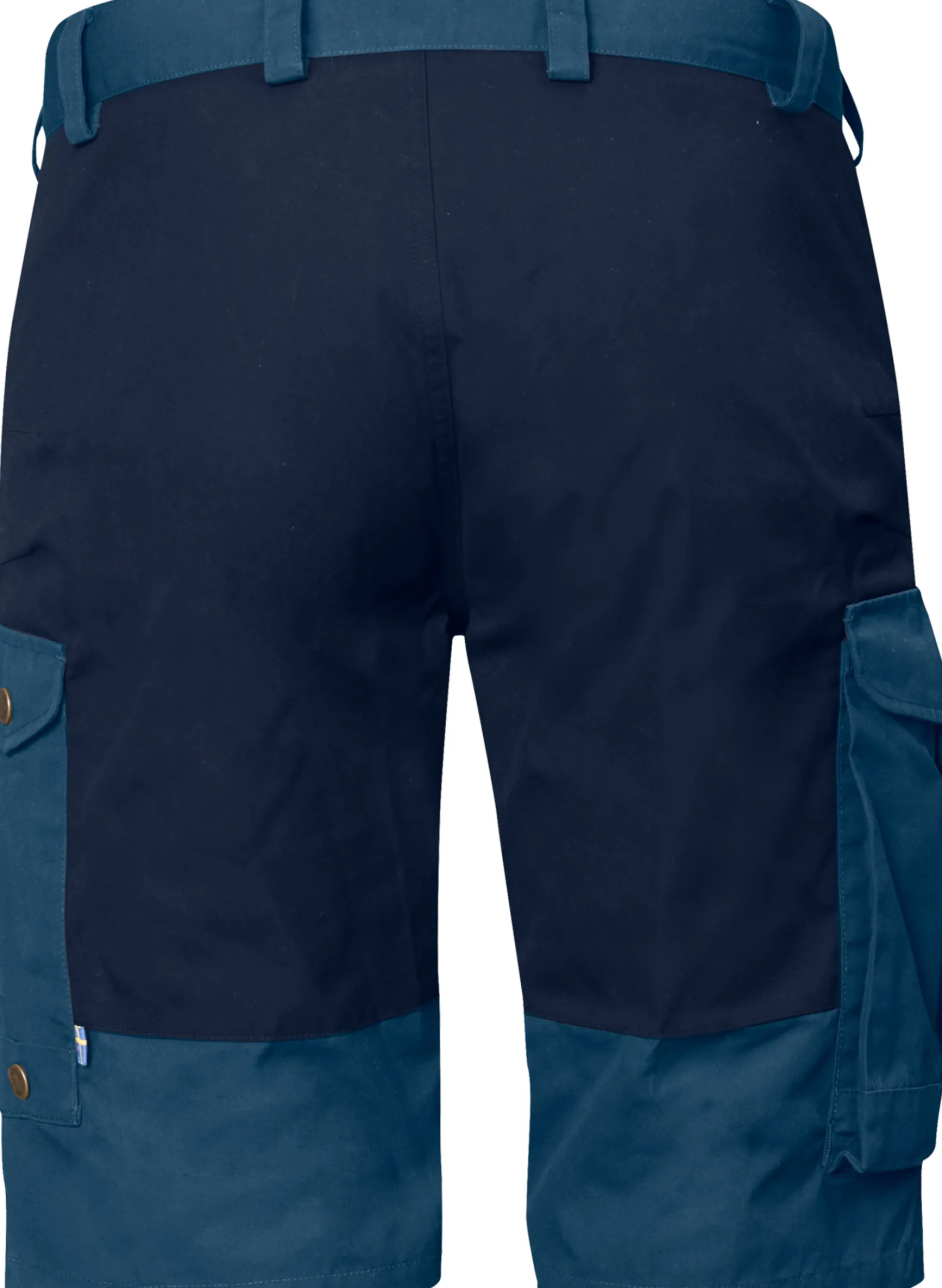 Barents Pro Shorts Herre