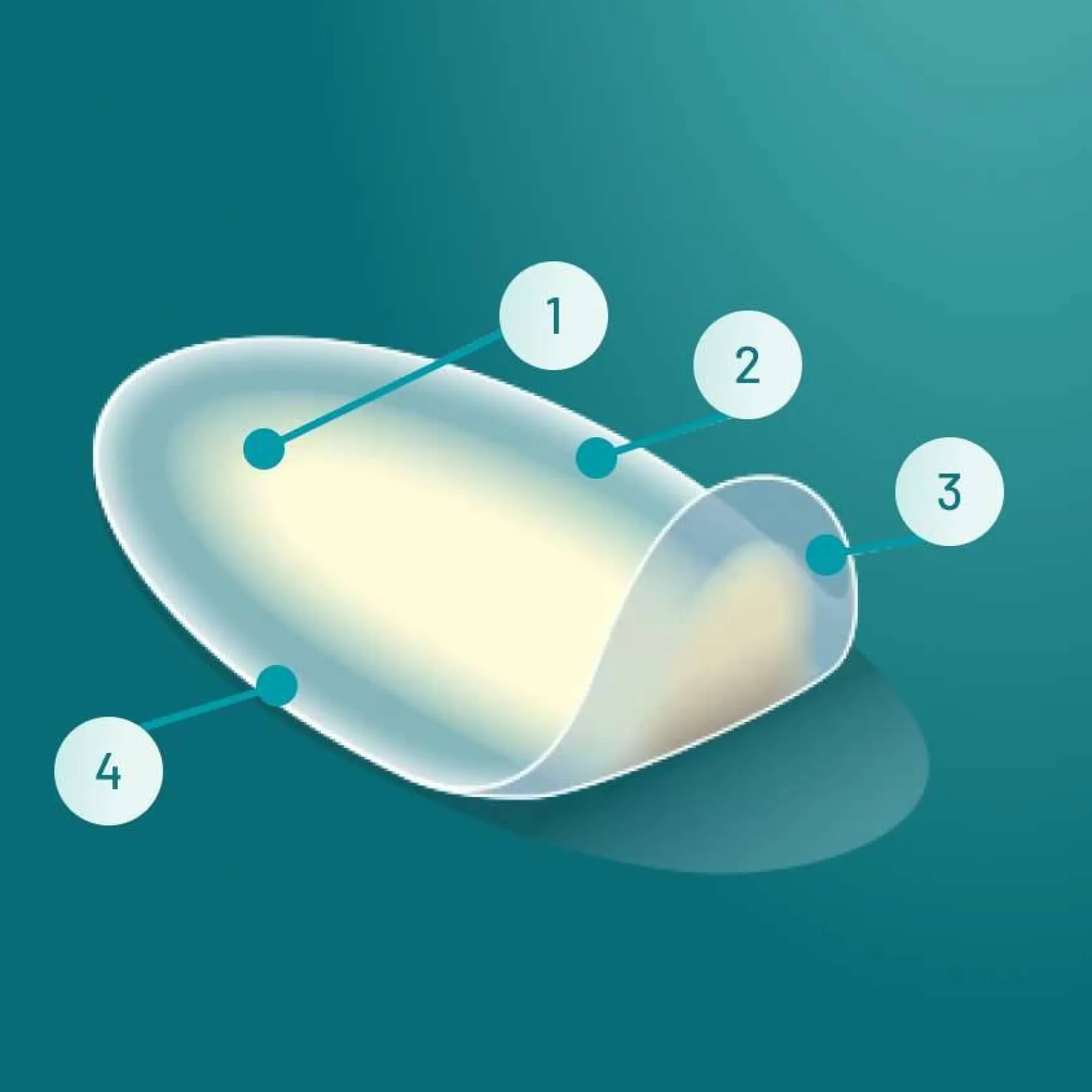 Blister Medium Plasters