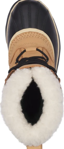 Caribou WP Dame