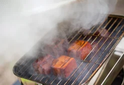 Compact Smoker