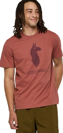 Cotopaxi Llama T-Shirt Herre