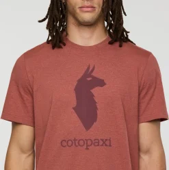 Cotopaxi Llama T-Shirt Herre