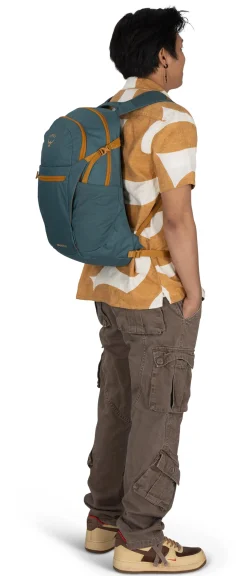 Daylite Plus