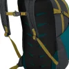 Daylite Plus