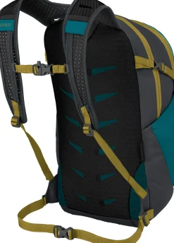 Daylite Plus