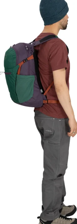 Daylite Plus