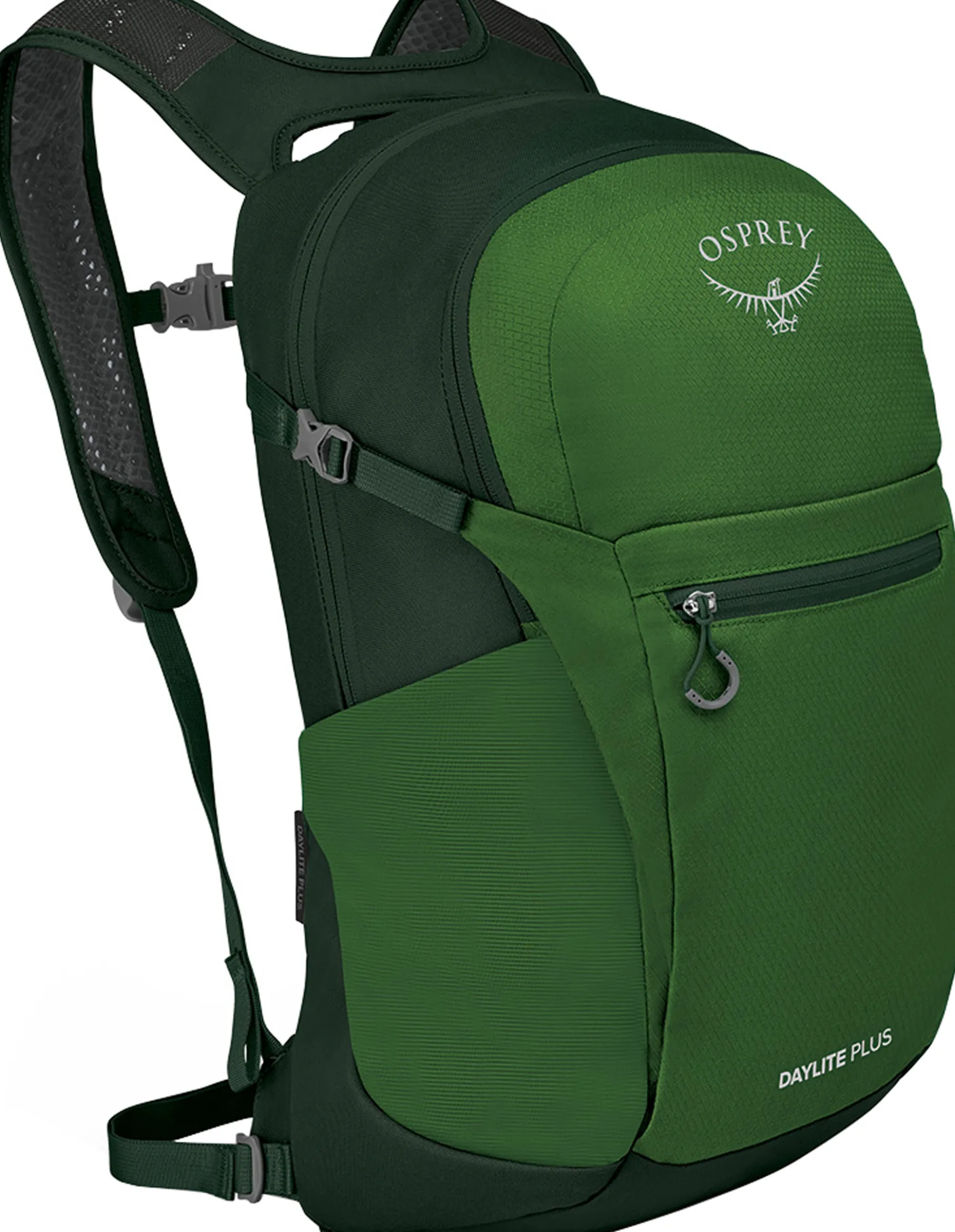 Daylite Plus