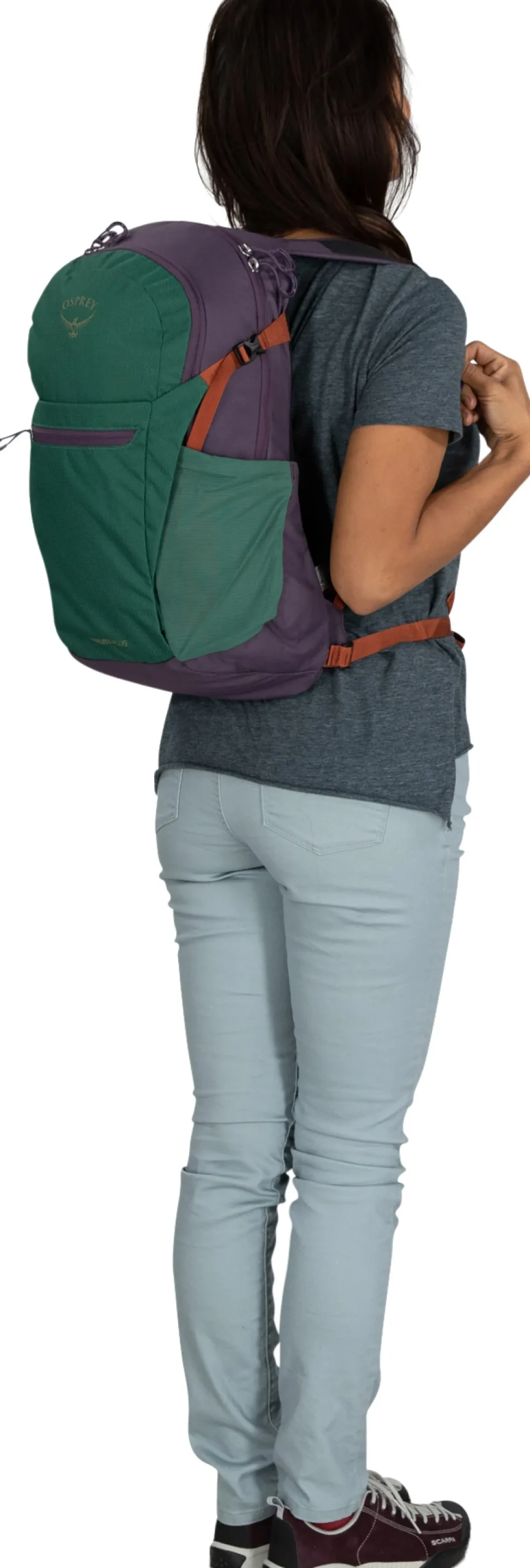 Daylite Plus