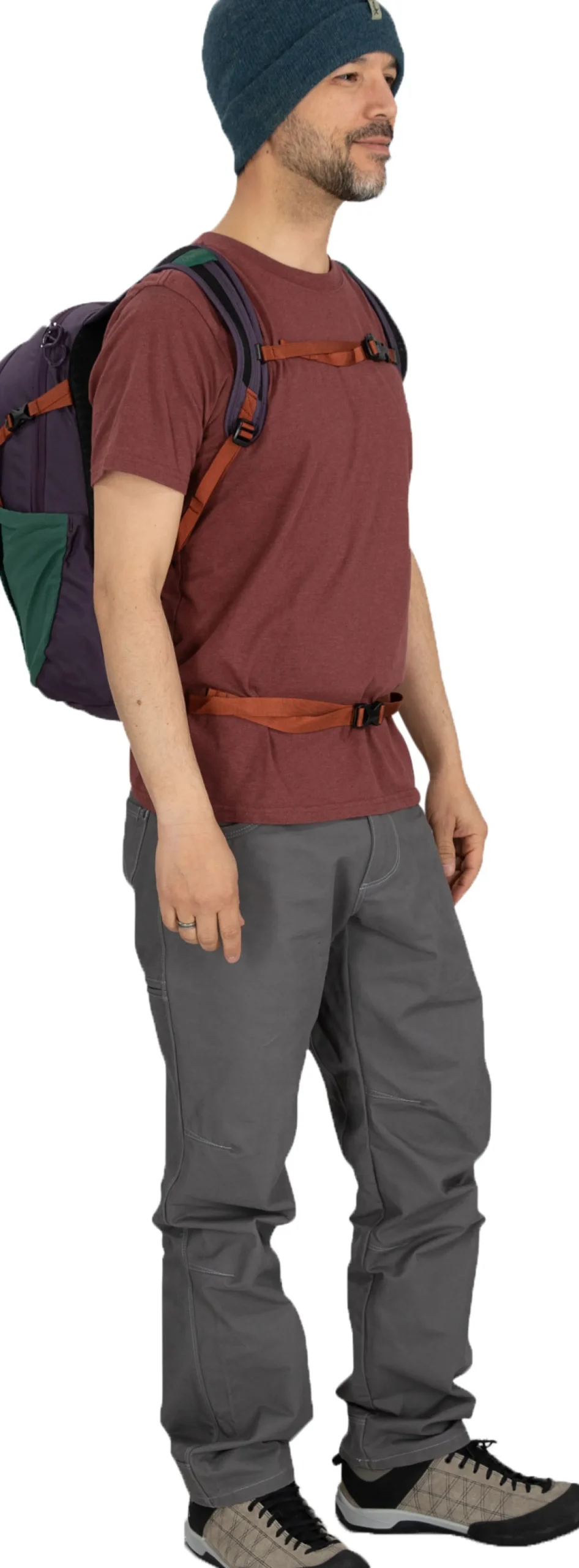 Daylite Plus