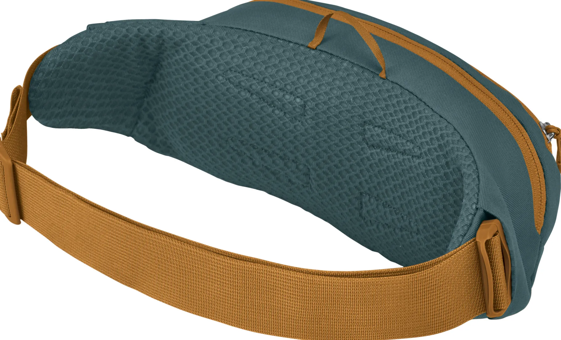 Daylite Waist