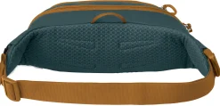 Daylite Waist