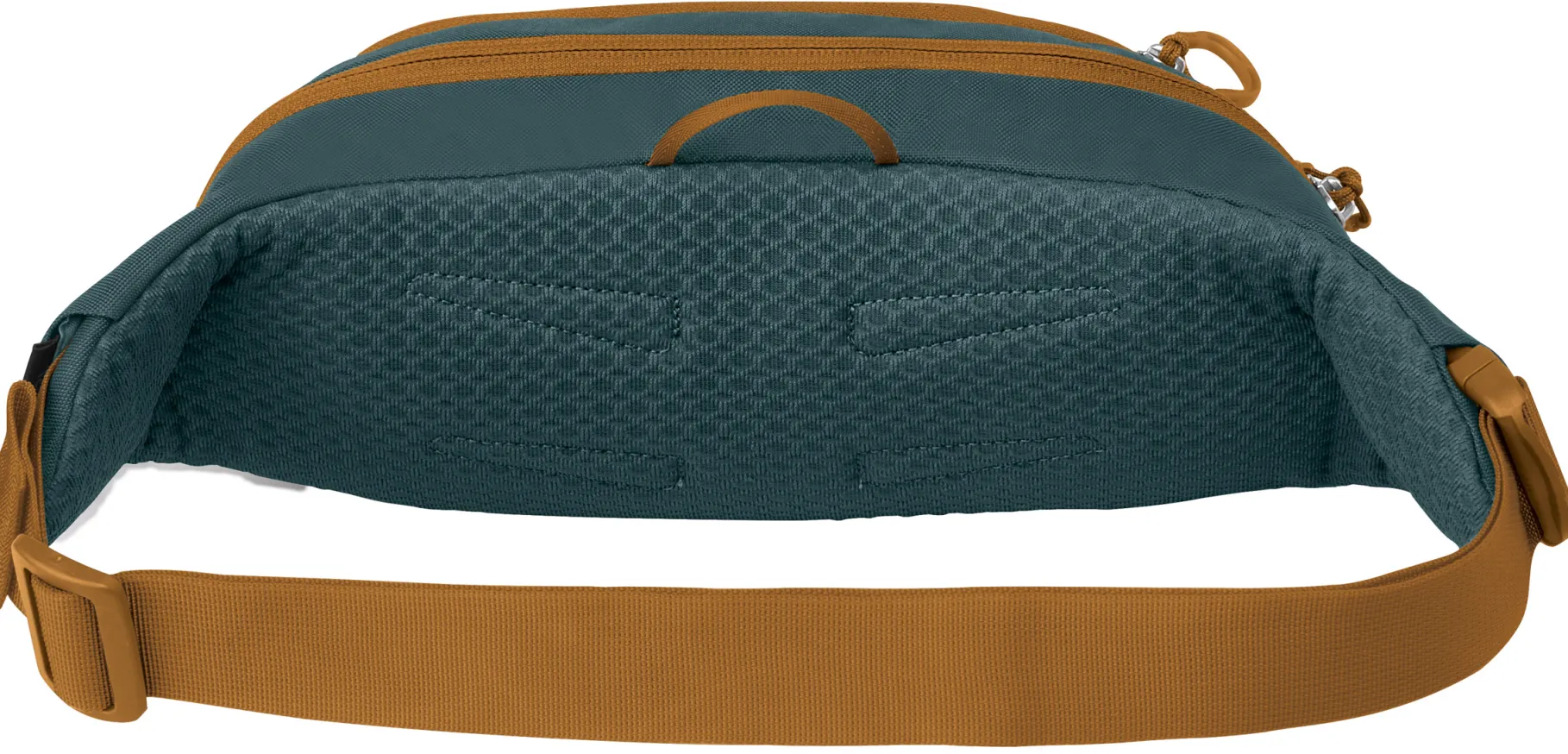 Daylite Waist
