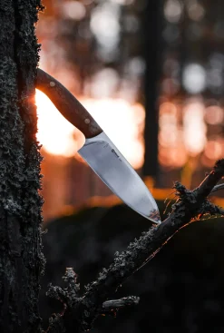 Dele Chef Knife