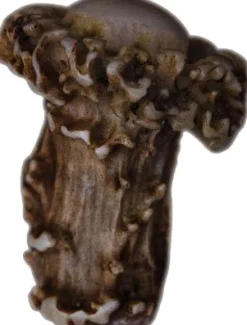 Exclusive Antler Handles for Baking Oven