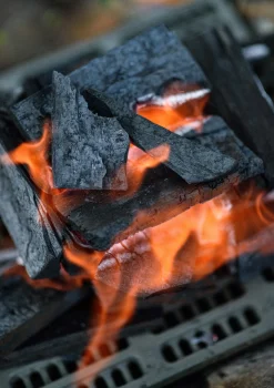 Fireplace Cast Iron Coal Bed Large