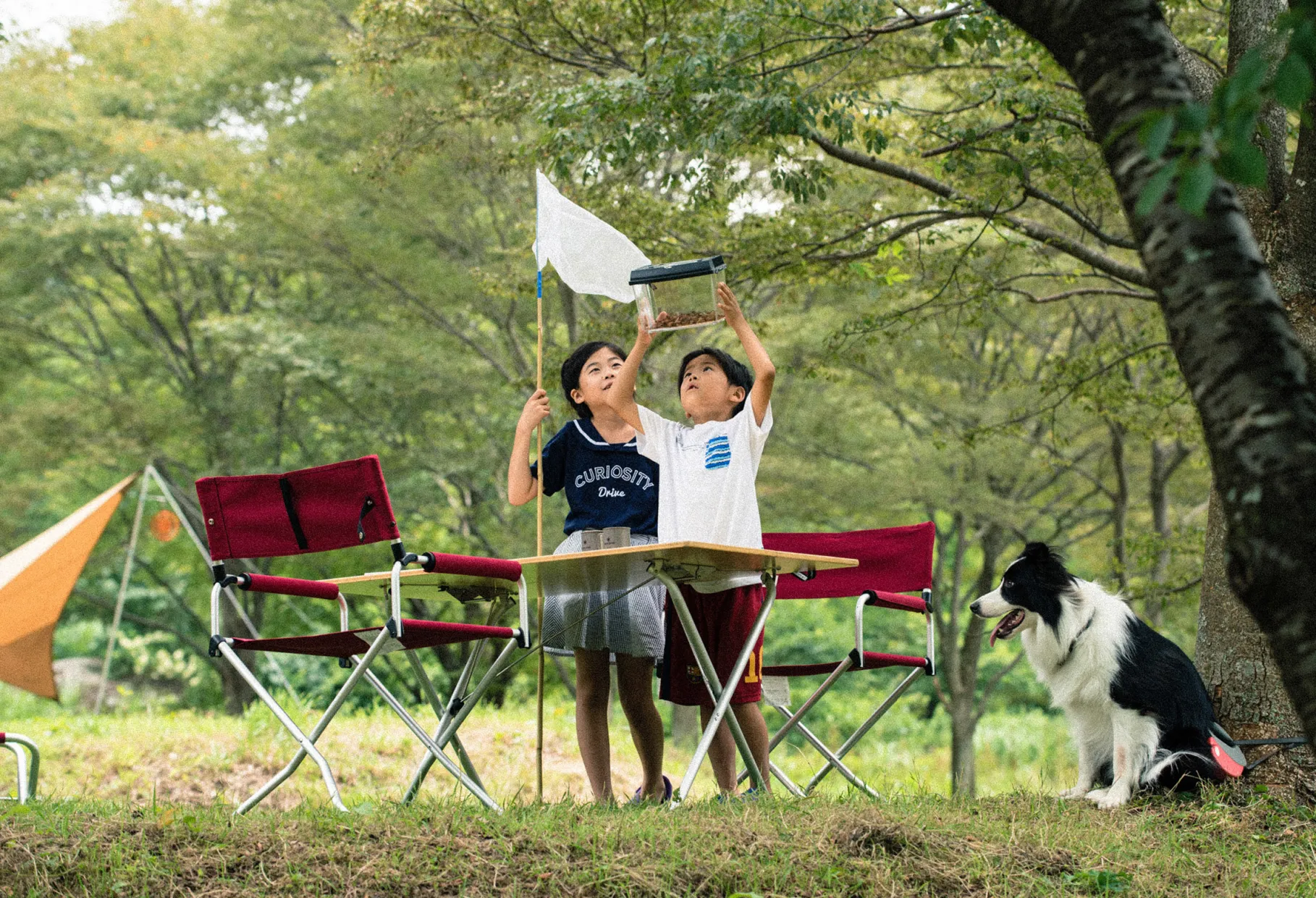 Folding Chair Foldestol