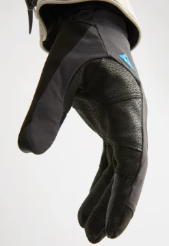 Galar Gloves