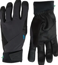 Galar Gloves