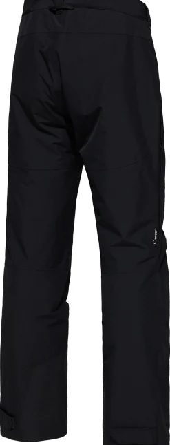 Gondol Insulated II Pant Herre