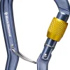 Gridlock Screwgate Carabiner