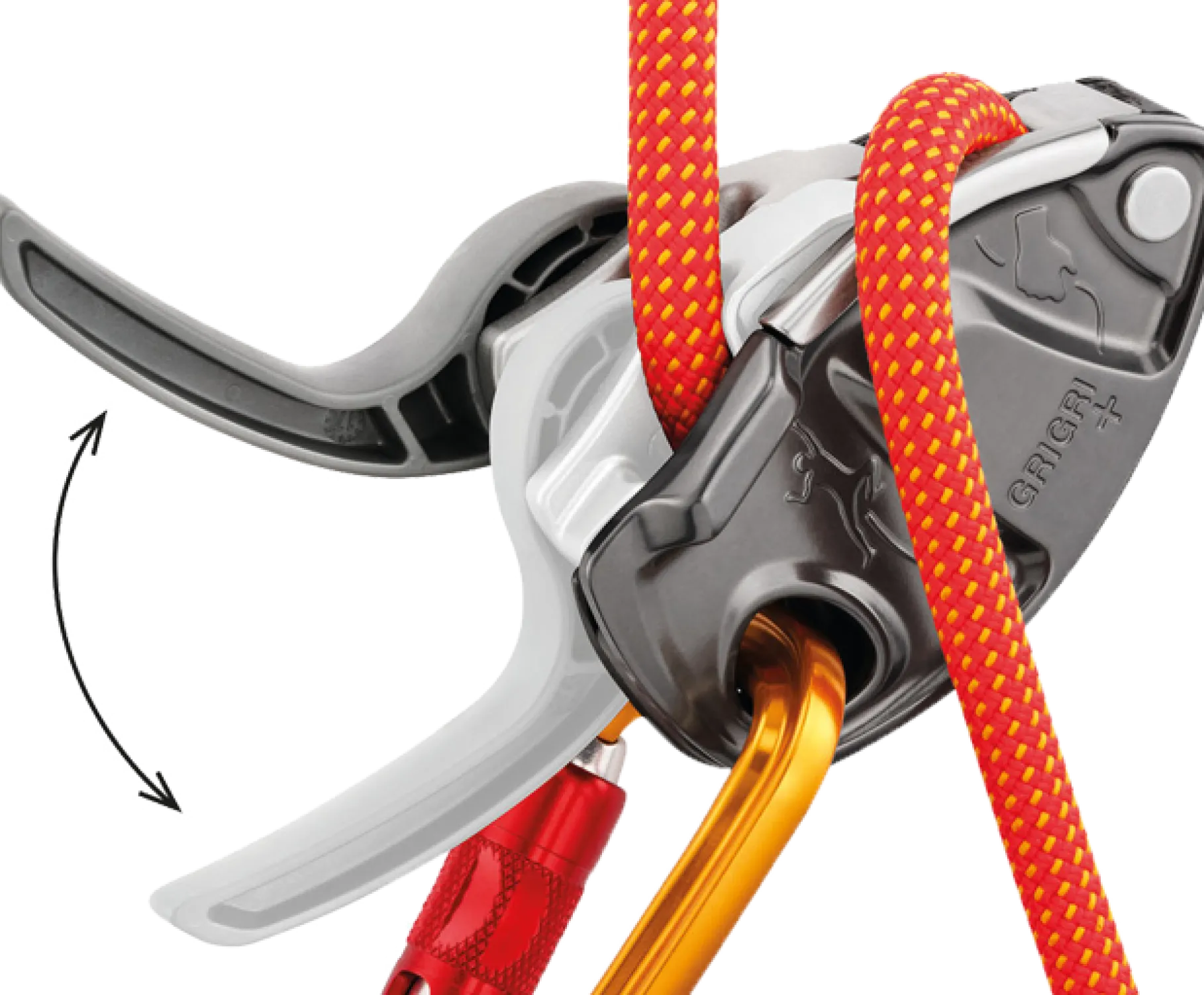 GriGri+