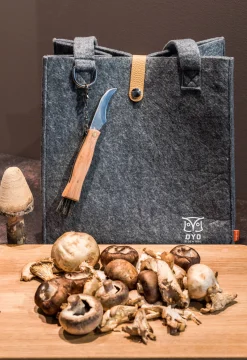 Hiking Felt Bag