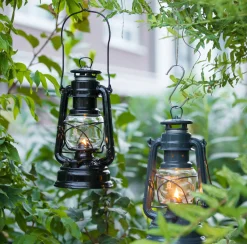 Hurricane Lantern Baby Special 276