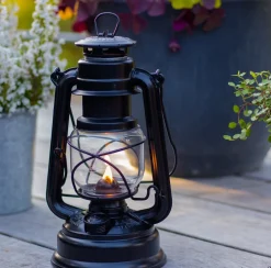 Hurricane Lantern Baby Special 276