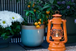 Hurricane Lantern Baby Special 276