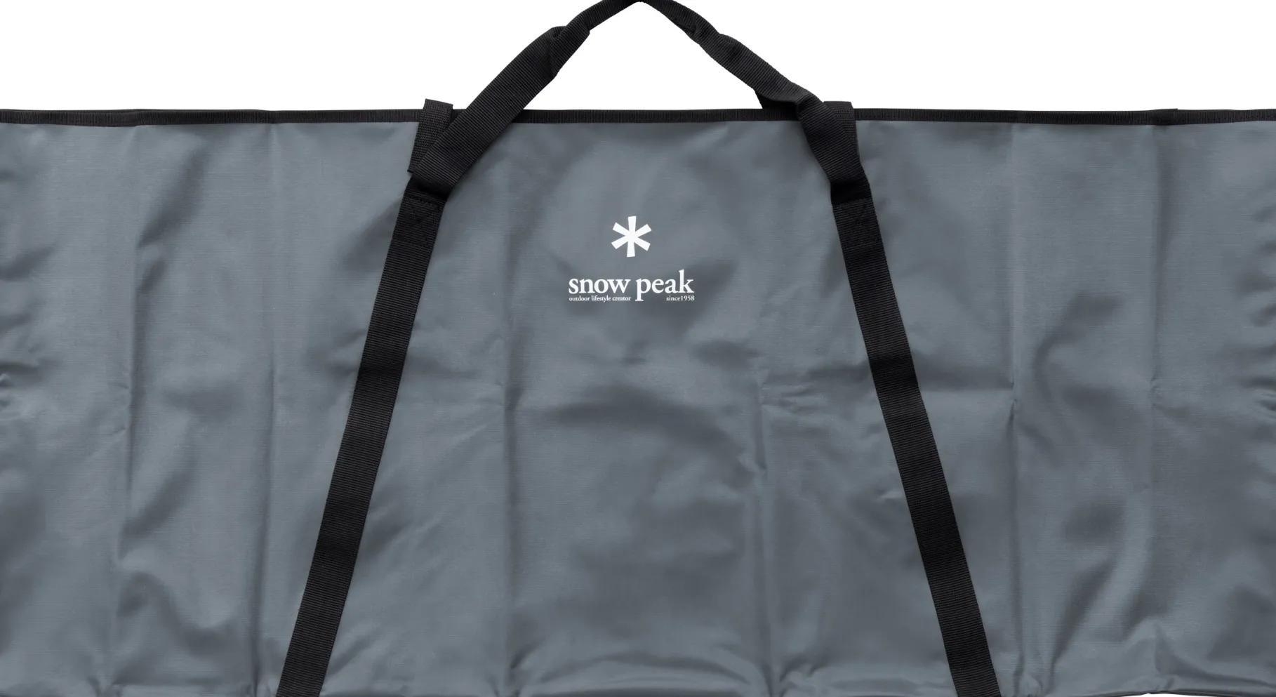 IGT 4 Unit Carrying Case
