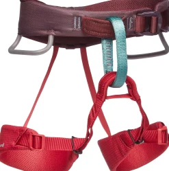 Momentum Kid's Harness Klatresele Børn
