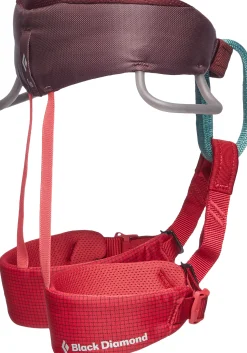Momentum Kid's Harness Klatresele Børn