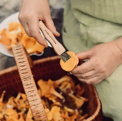 Mushroom Tool Svampekniv