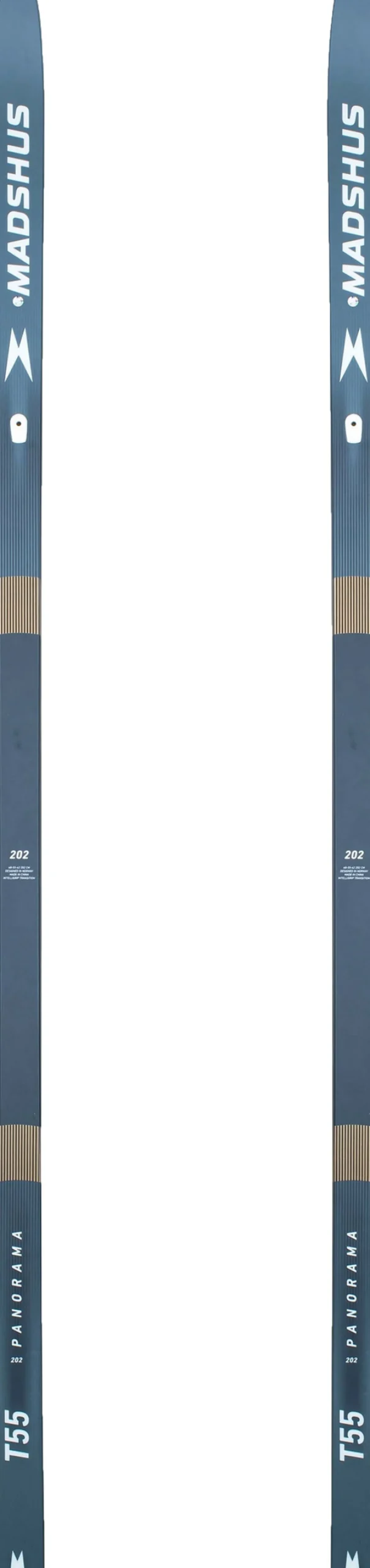 Panorama T55 IntelliGrip Transition Skis
