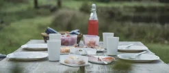 Picnic Box L