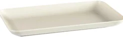 Platter Medium