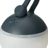 Rechargeable Mini Hozuki Lanterne
