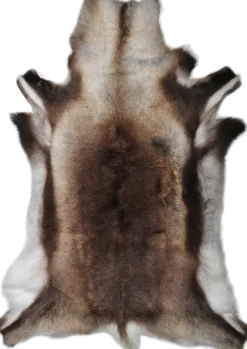Rensdyrskind Imprægneret
