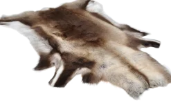 Rensdyrskind Imprægneret