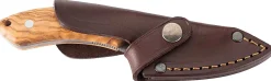 Roadrunner 11022 Olive Wood Belt Knife