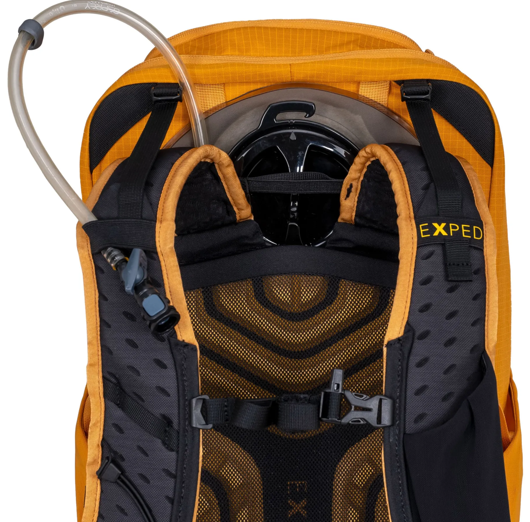 Skyline 30 S/M