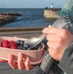 Spork Titanium