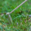 Steel T-Peg, 2 stk