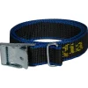 Strap